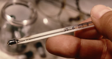 Describe the photo or the page it links to